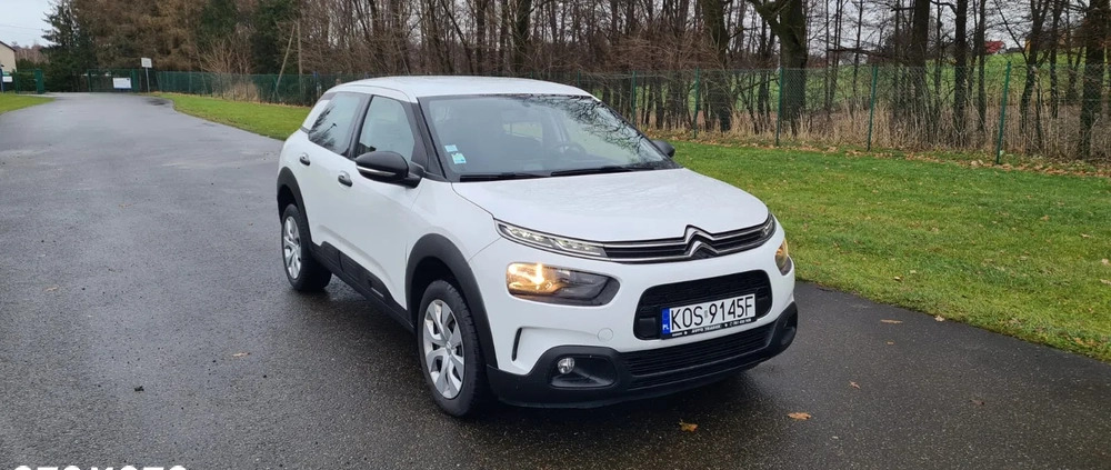 Citroen C4 Cactus cena 54900 przebieg: 39200, rok produkcji 2019 z Kęty małe 56